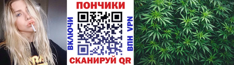 Где купить Прокопьевск APVP  LSD-25  Кокаин  Бошки Шишки 