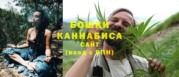 ГАЛЛЮЦИНОГЕННЫЕ ГРИБЫ Абинск