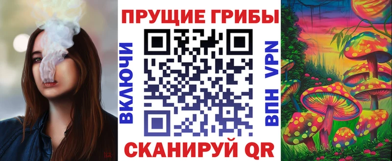 Псилоцибиновые грибы Psilocybe  Прокопьевск 