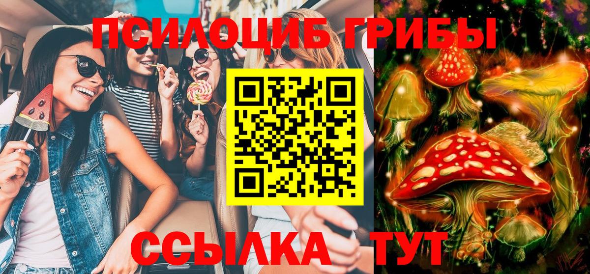 Галлюциногенные грибы GOLDEN TEACHER Прокопьевск