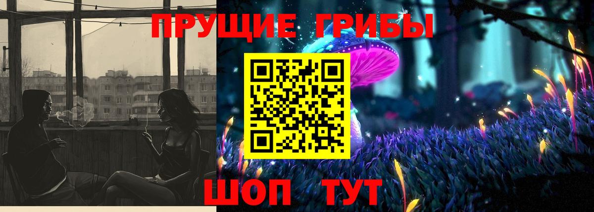 Прокопьевск  цены наркотик  Псилоцибиновые грибы Magic Shrooms  Вход с VPN  Псилоцибиновые грибы Psilocybe 